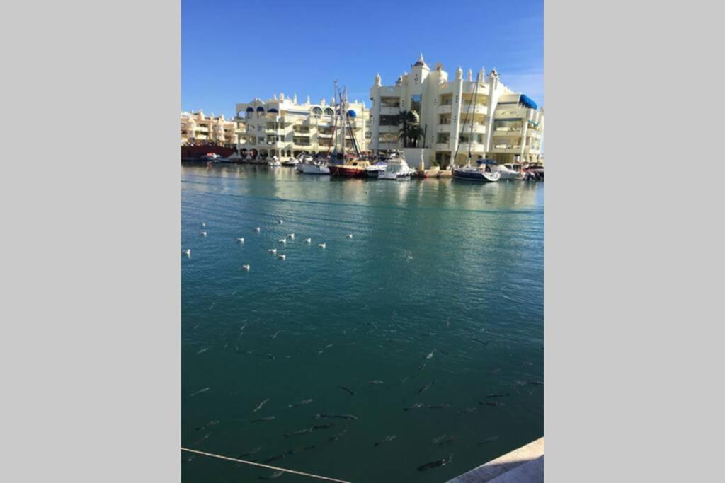 Vacaciones En Puerto Marina * Benalmádena